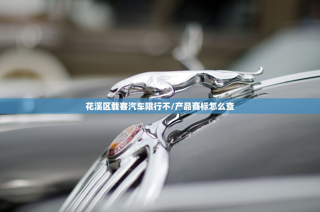 花溪区载客汽车限行不/产品商标怎么查