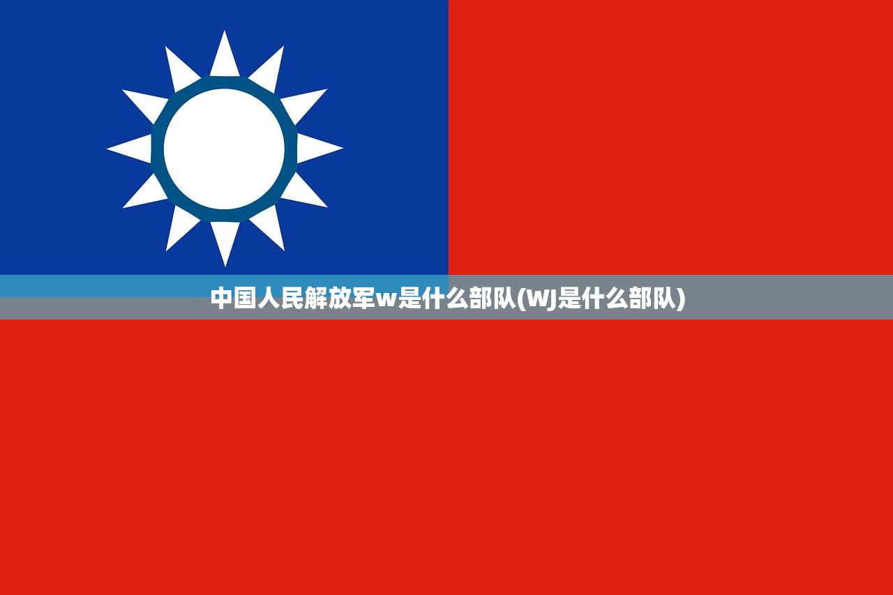 中国人民解放军w是什么部队(WJ是什么部队)