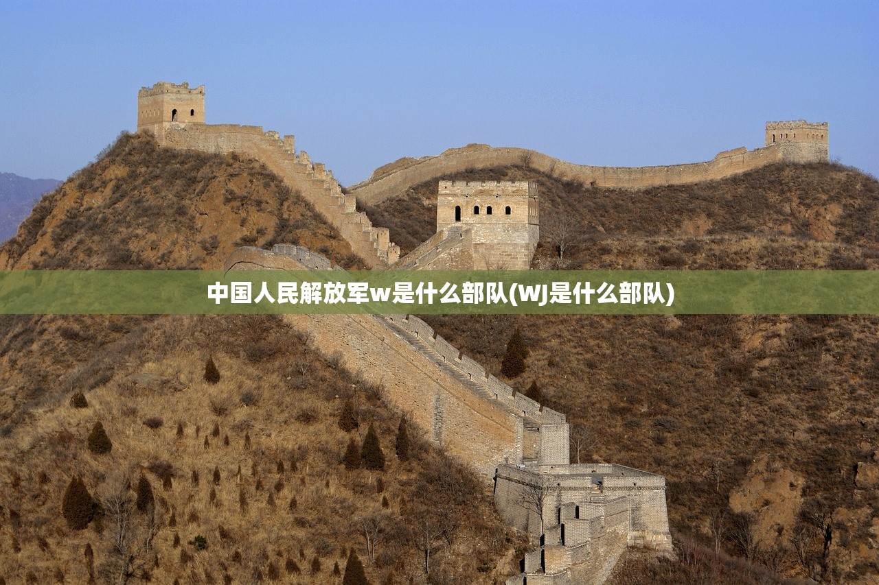 中国人民解放军w是什么部队(WJ是什么部队) 中国人民解放军w是什么部队(WJ是什么部队)