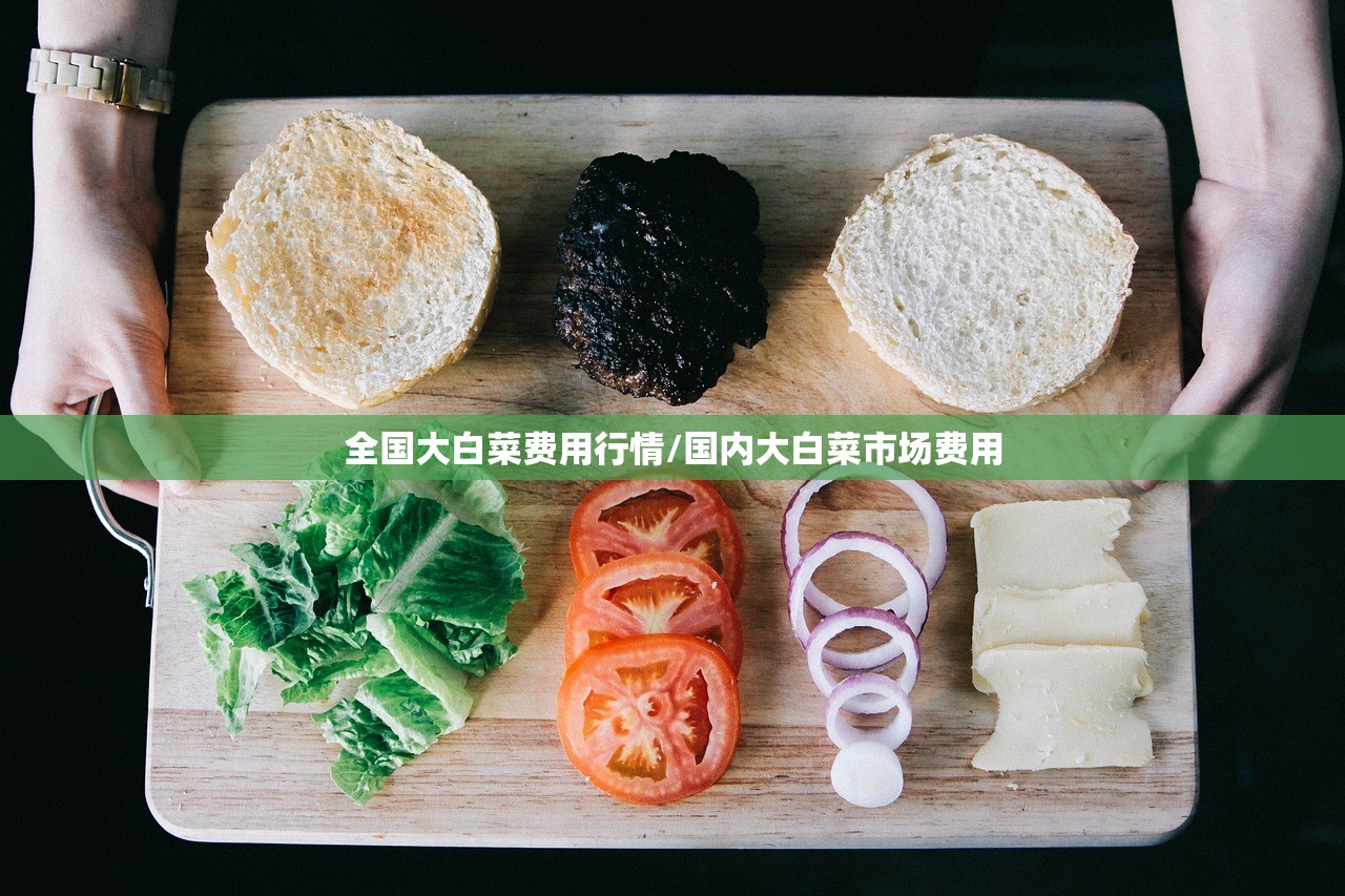 全国大白菜费用行情/国内大白菜市场费用