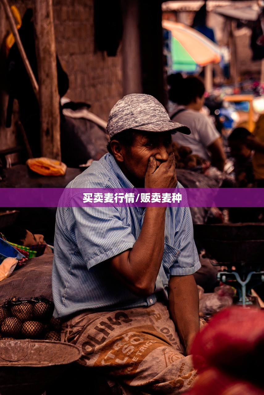 买卖麦行情/贩卖麦种 买卖麦行情/贩卖麦种