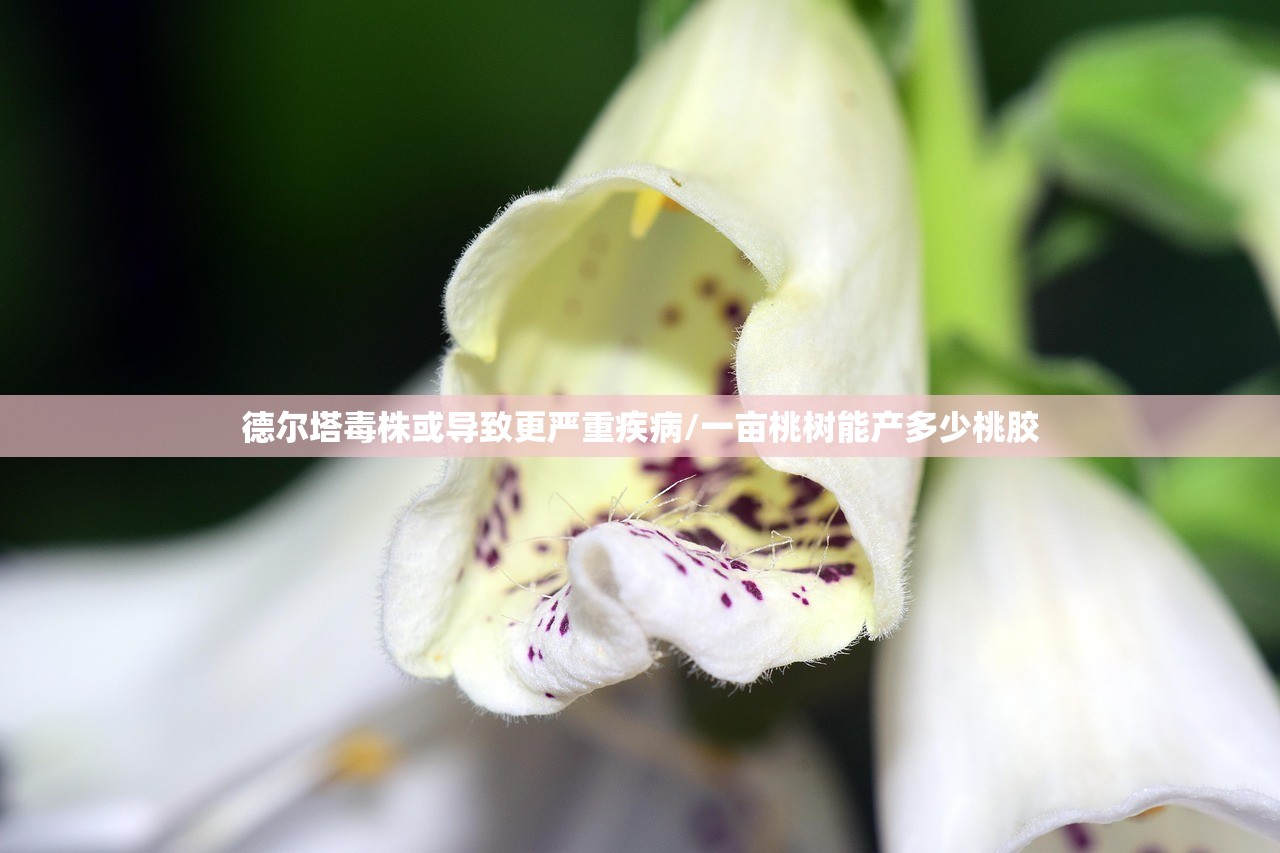 德尔塔毒株或导致更严重疾病/一亩桃树能产多少桃胶