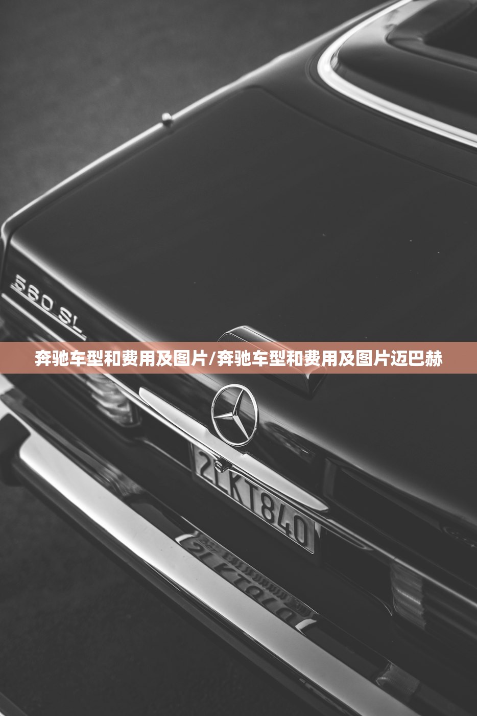 奔驰车型和费用及图片/奔驰车型和费用及图片迈巴赫 奔驰车型和费用及图片/奔驰车型和费用及图片迈巴赫