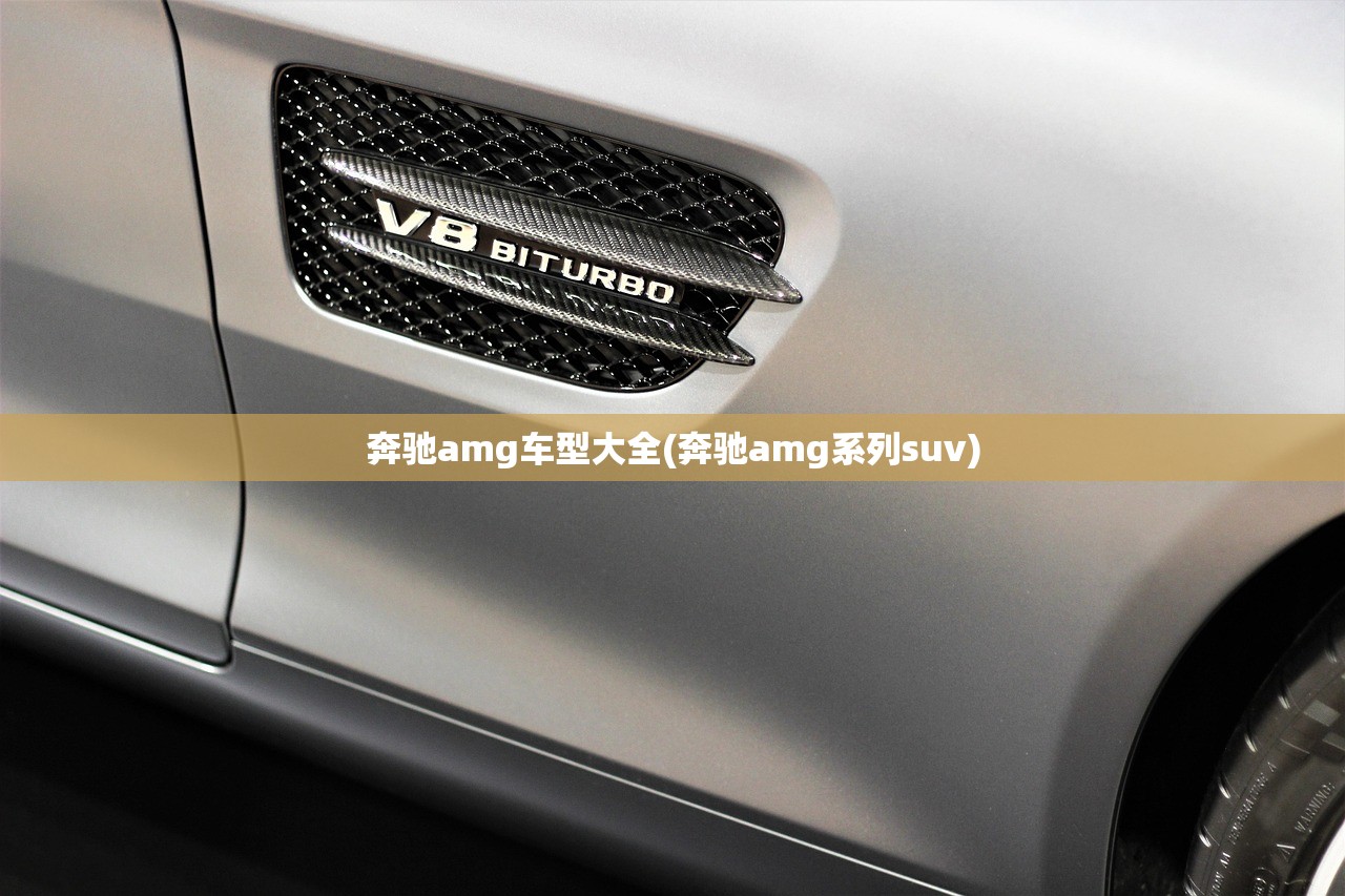 奔驰amg车型大全(奔驰amg系列suv) 奔驰amg车型大全(奔驰amg系列suv)