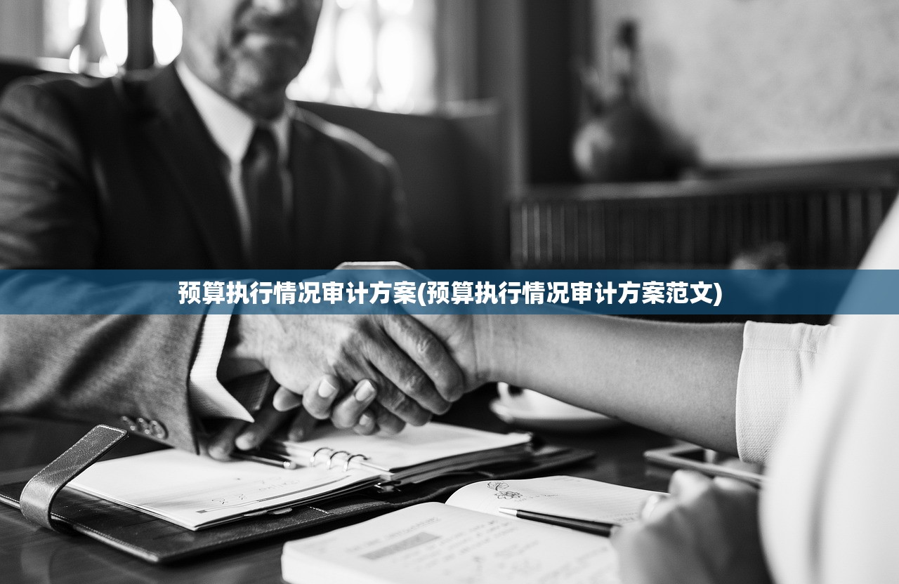 预算执行情况审计方案(预算执行情况审计方案范文) 预算执行情况审计方案(预算执行情况审计方案范文)
