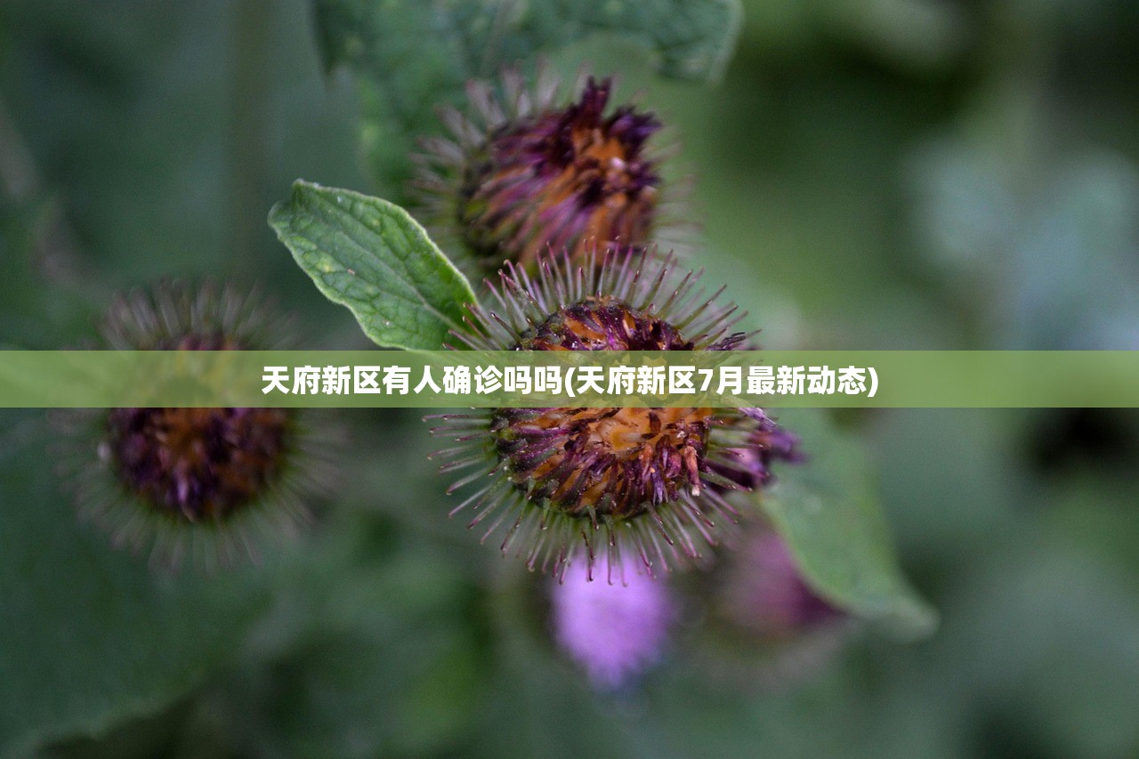 天府新区有人确诊吗吗(天府新区7月最新动态) 天府新区有人确诊吗吗(天府新区7月最新动态)