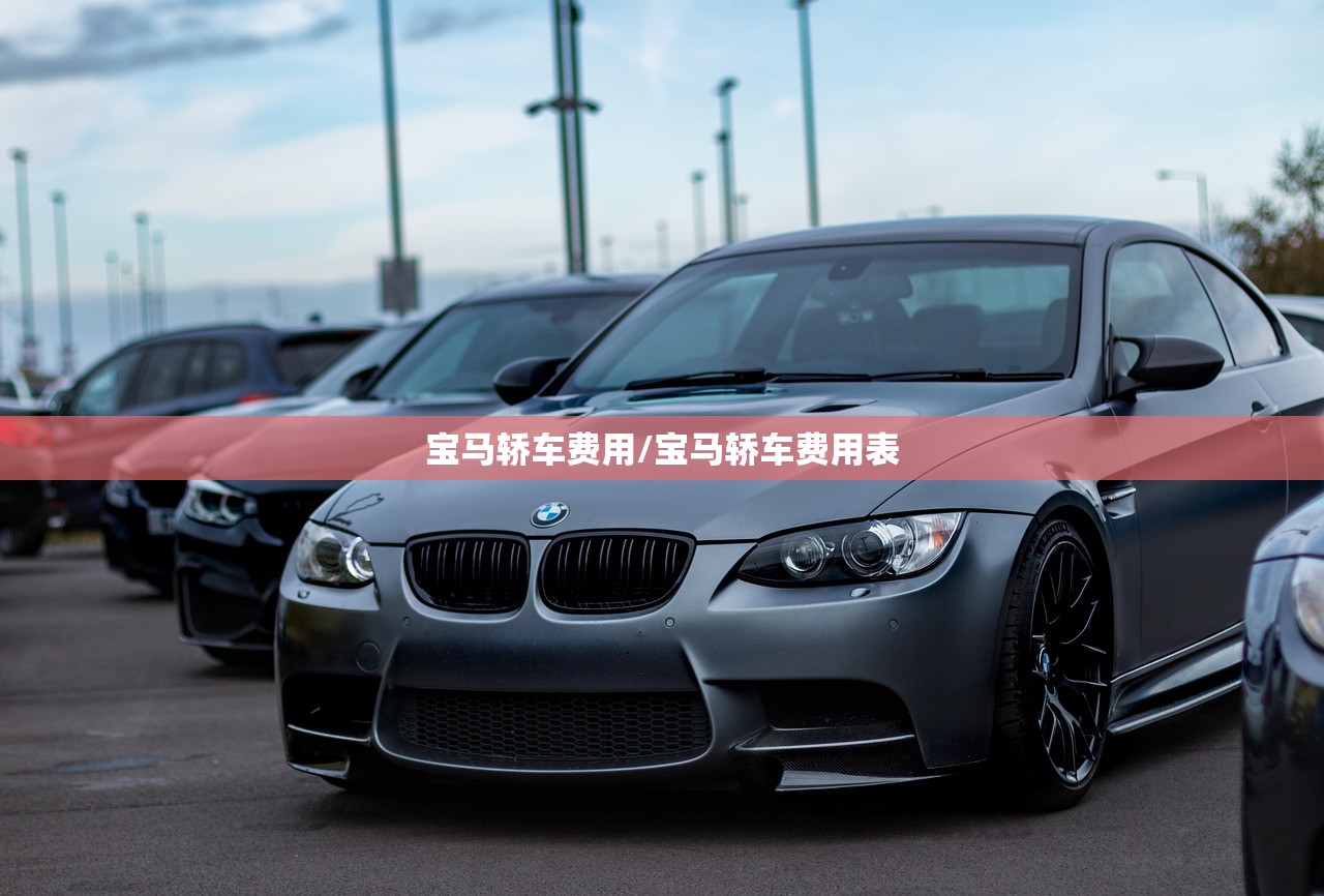 宝马轿车费用/宝马轿车费用表 宝马轿车费用/宝马轿车费用表