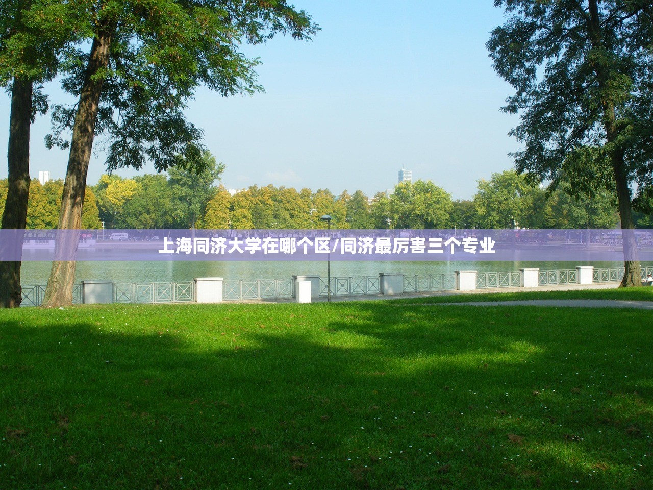 上海同济大学在哪个区/同济最厉害三个专业 上海同济大学在哪个区/同济最厉害三个专业