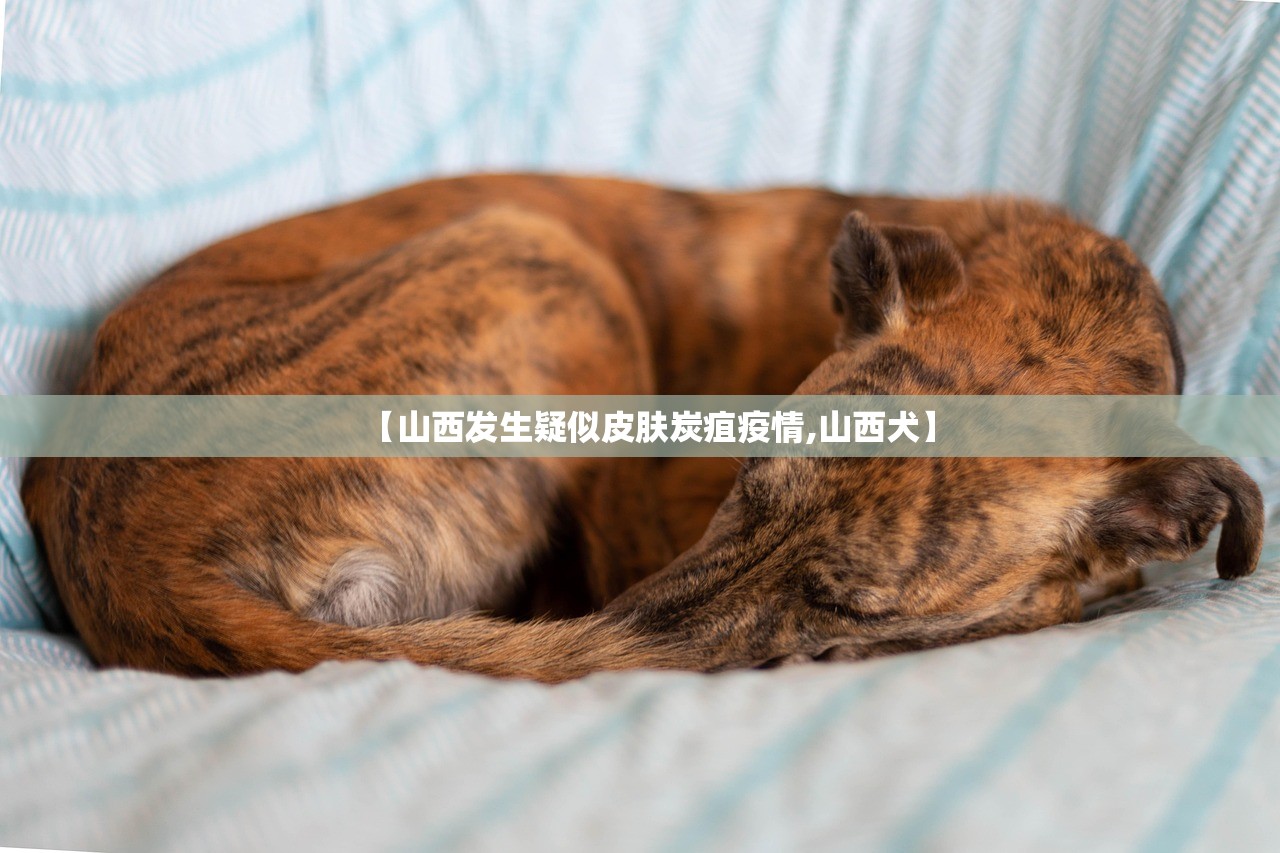 【山西发生疑似皮肤炭疽疫情,山西犬】
