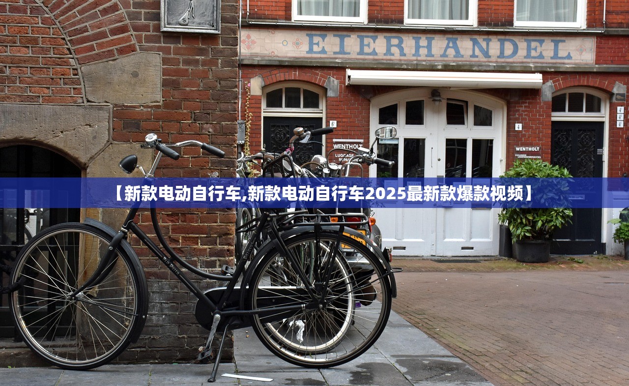 【新款电动自行车,新款电动自行车2025最新款爆款视频】 【新款电动自行车,新款电动自行车2025最新款爆款视频】