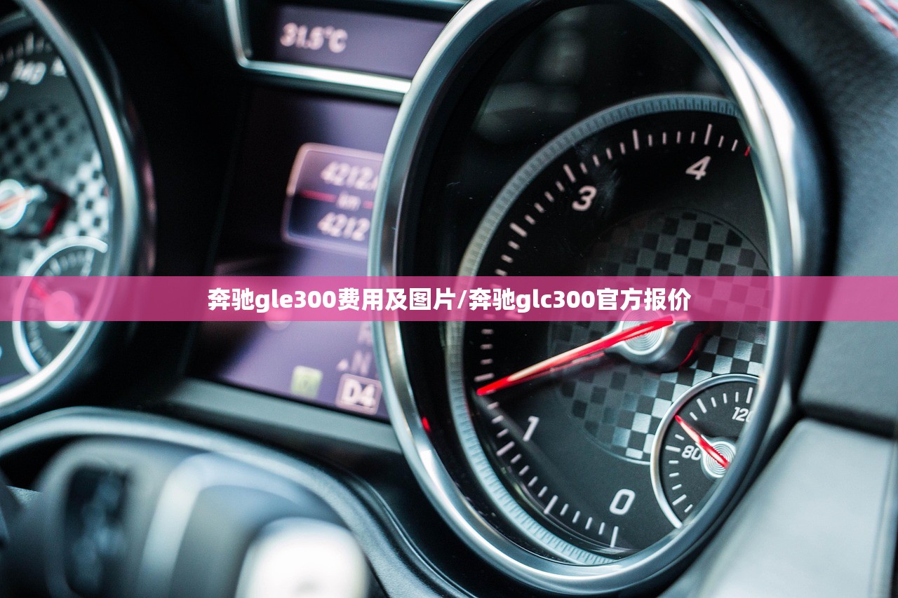 奔驰gle300费用及图片/奔驰glc300官方报价