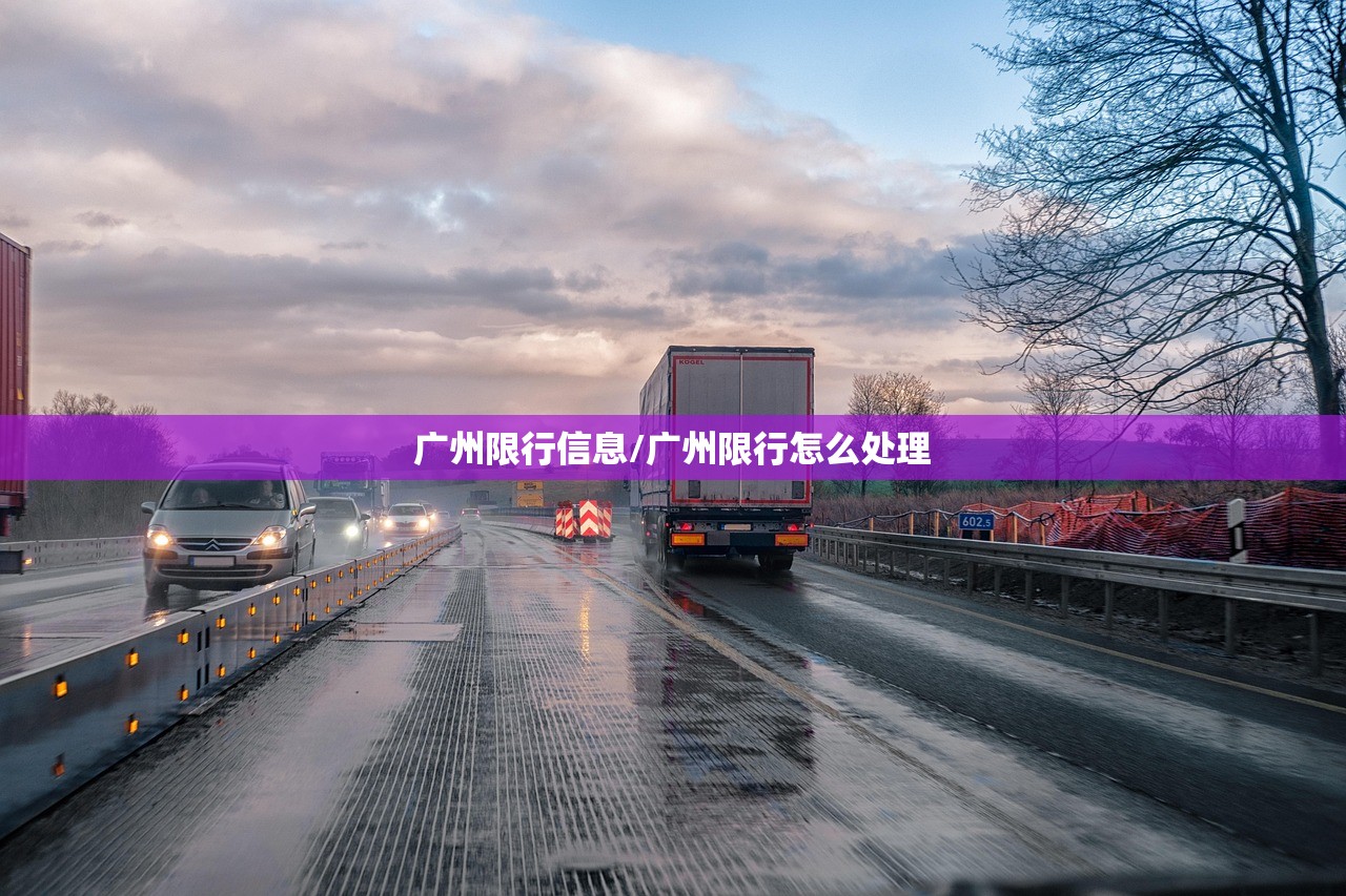 广州限行信息/广州限行怎么处理