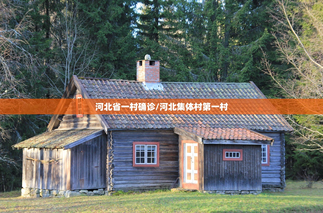 河北省一村确诊/河北集体村第一村 河北省一村确诊/河北集体村第一村
