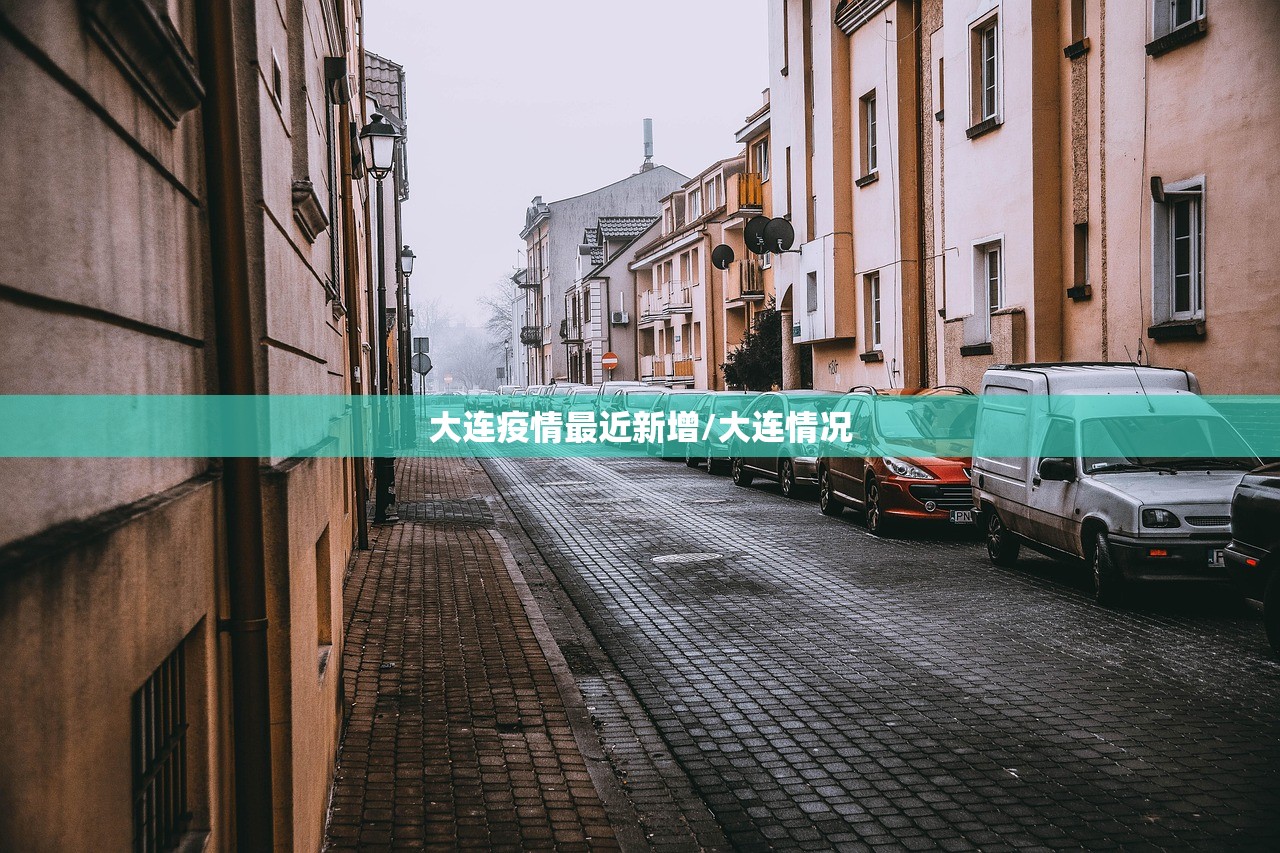 大连疫情最近新增/大连情况