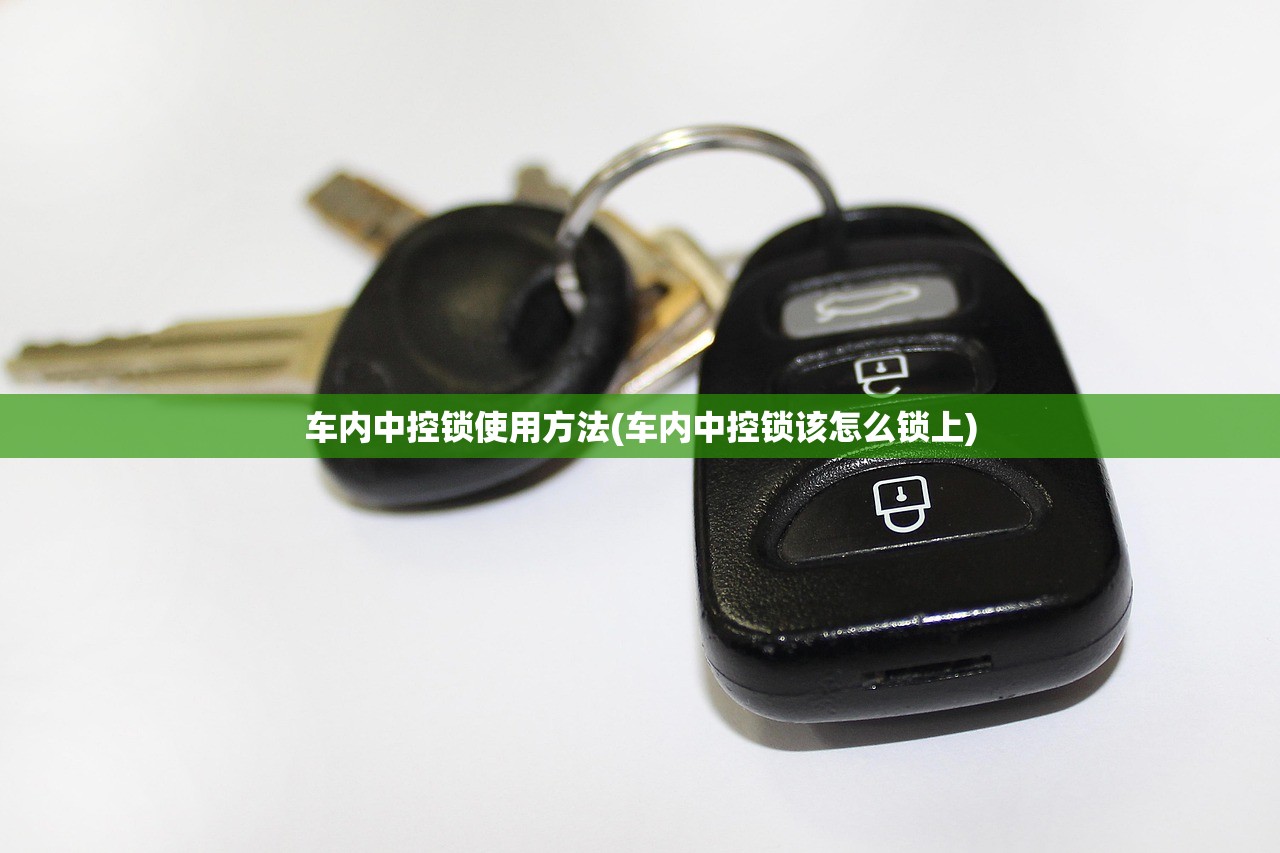 车内中控锁使用方法(车内中控锁该怎么锁上) 车内中控锁使用方法(车内中控锁该怎么锁上)