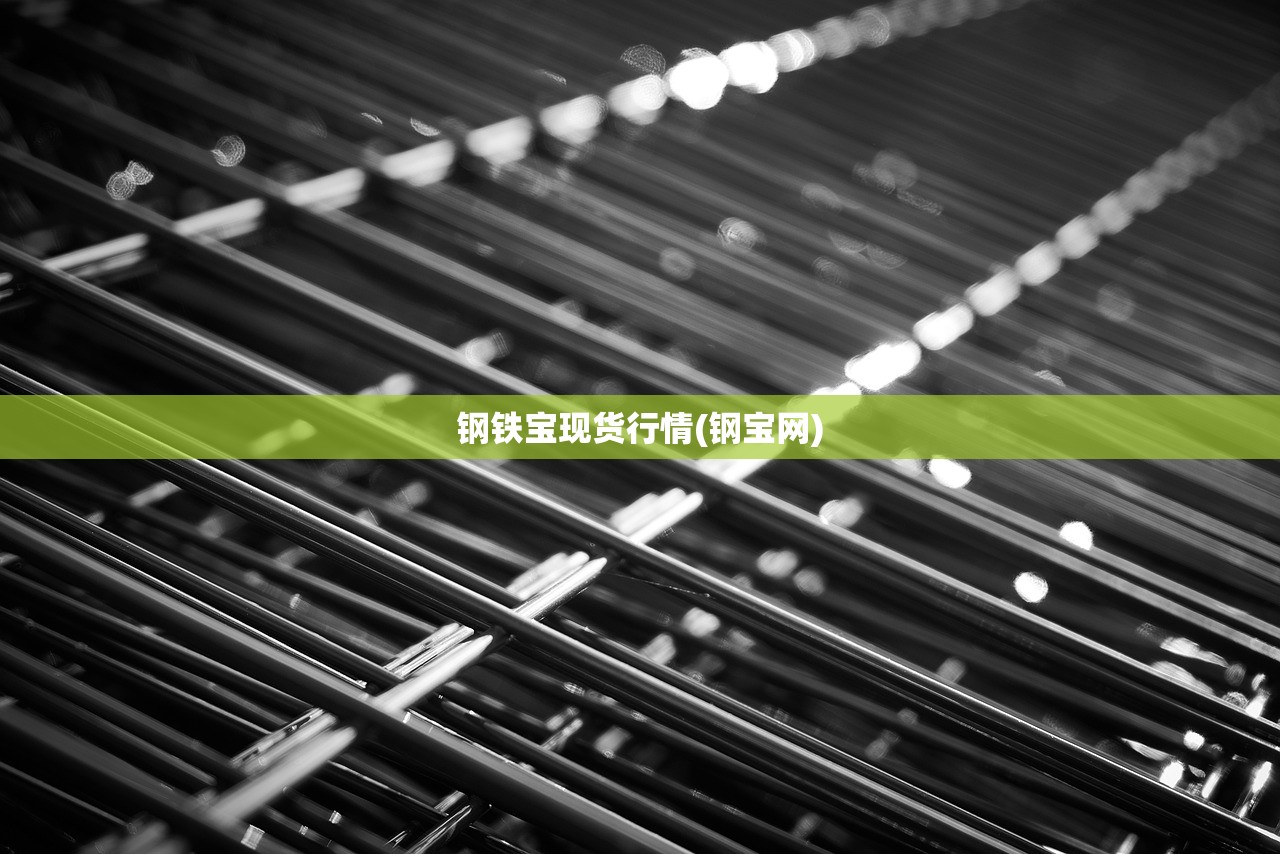 钢铁宝现货行情(钢宝网)