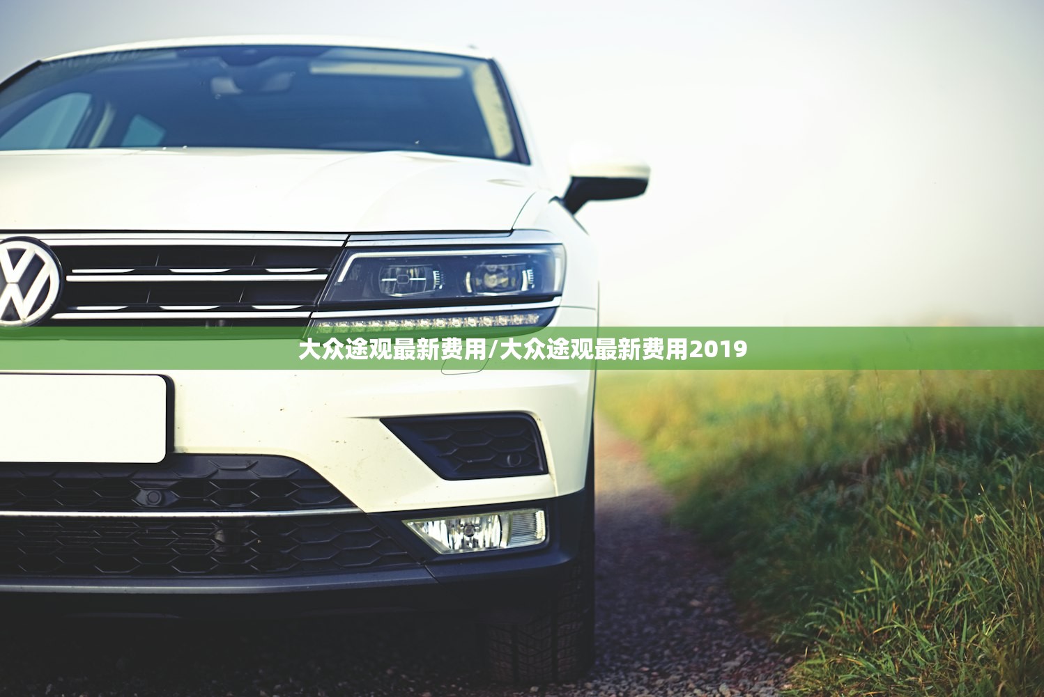 大众途观最新费用/大众途观最新费用2019 大众途观最新费用/大众途观最新费用2019