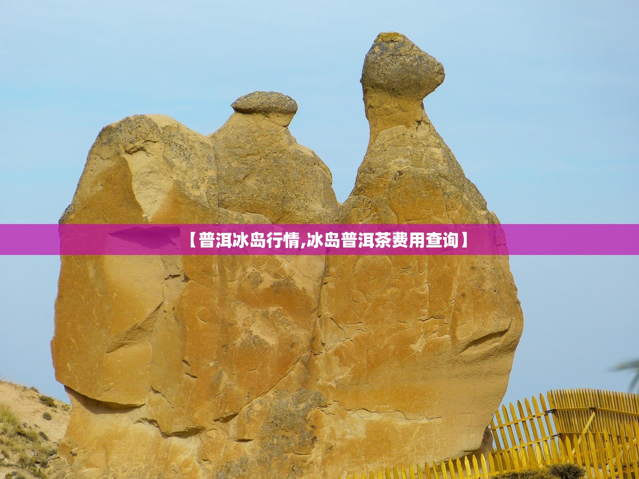 【普洱冰岛行情,冰岛普洱茶费用查询】 【普洱冰岛行情,冰岛普洱茶费用查询】