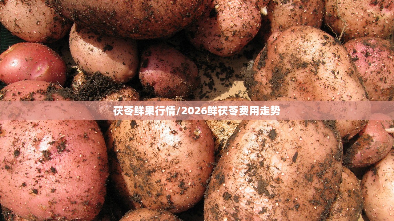 茯苓鲜果行情/2026鲜茯苓费用走势