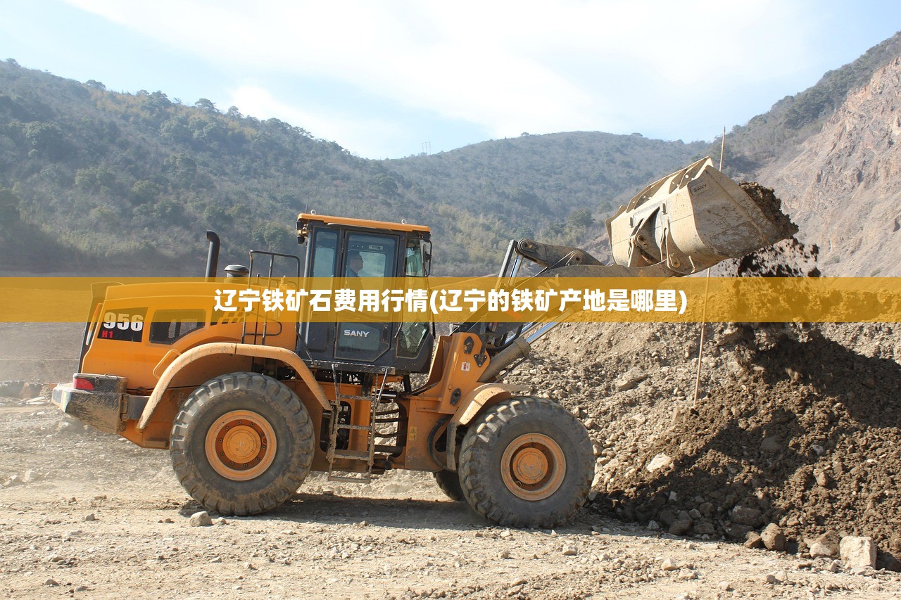 辽宁铁矿石费用行情(辽宁的铁矿产地是哪里) 辽宁铁矿石费用行情(辽宁的铁矿产地是哪里)