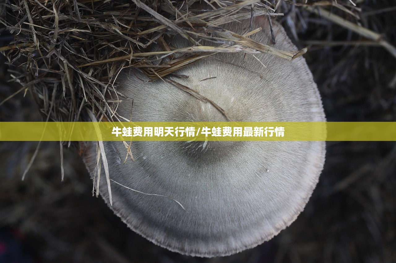 牛蛙费用明天行情/牛蛙费用最新行情 牛蛙费用明天行情/牛蛙费用最新行情