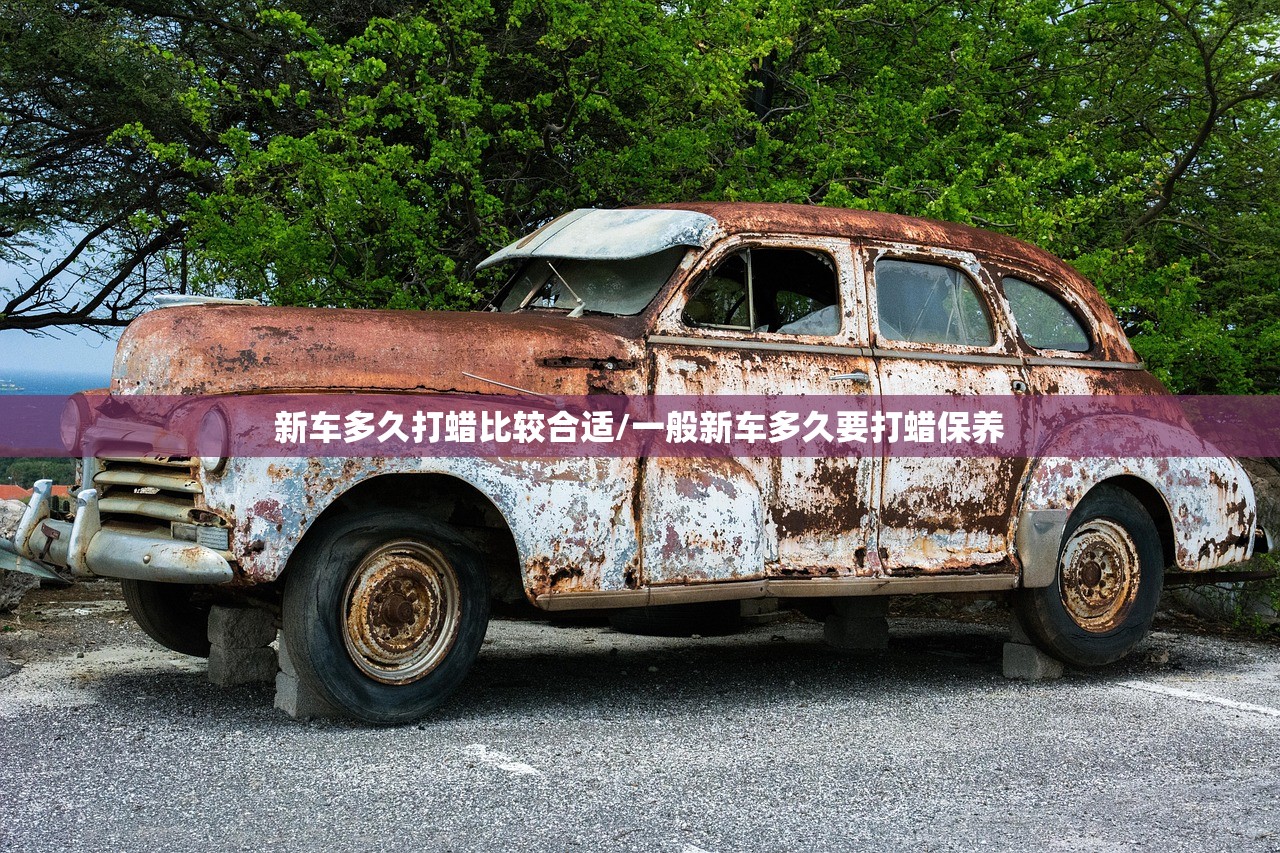 新车多久打蜡比较合适/一般新车多久要打蜡保养