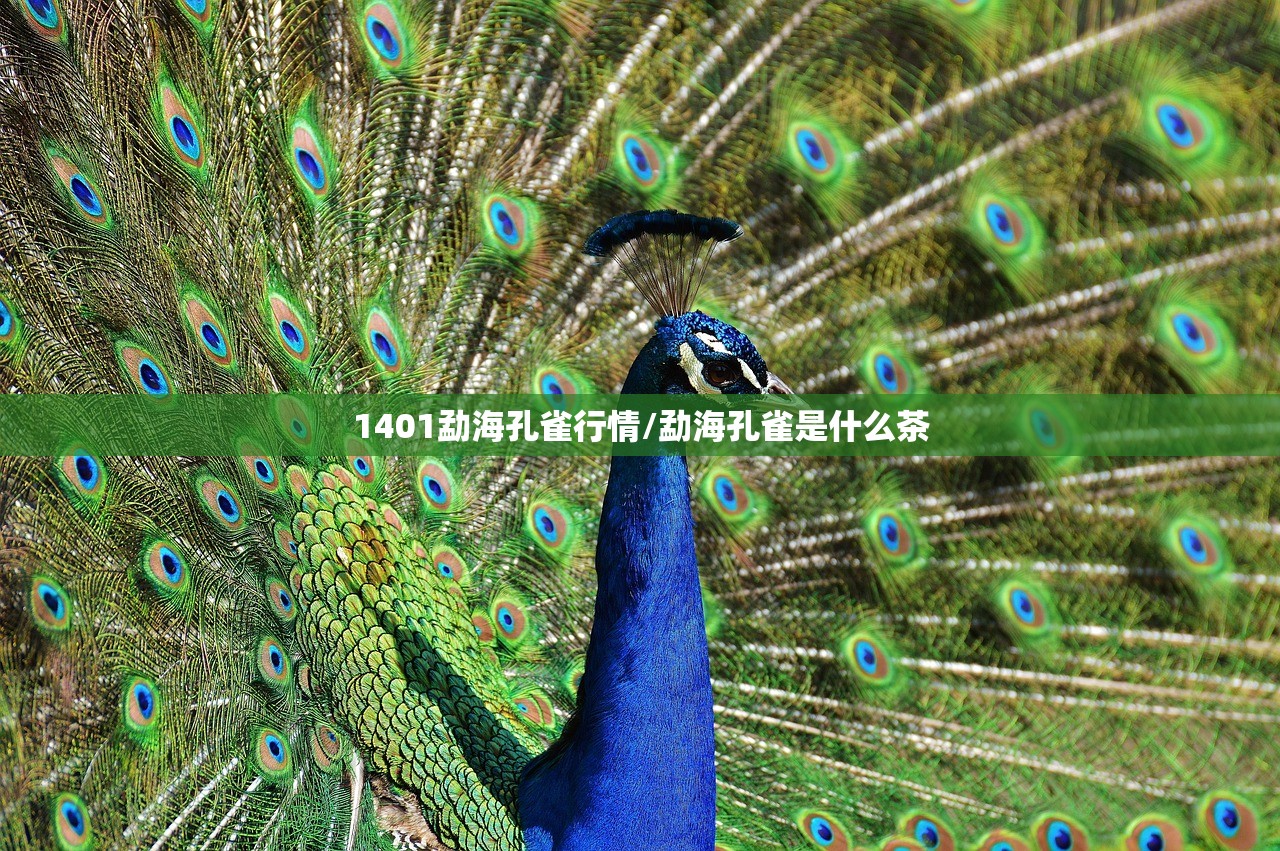 1401勐海孔雀行情/勐海孔雀是什么茶