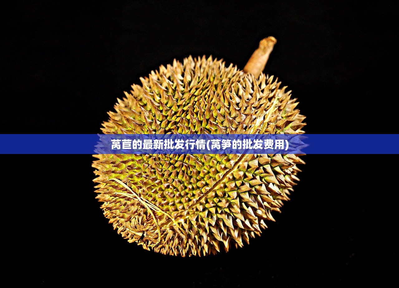 莴苣的最新批发行情(莴笋的批发费用) 莴苣的最新批发行情(莴笋的批发费用)