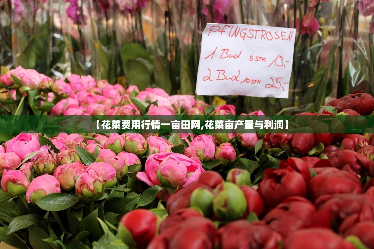 【花菜费用行情一亩田网,花菜亩产量与利润】