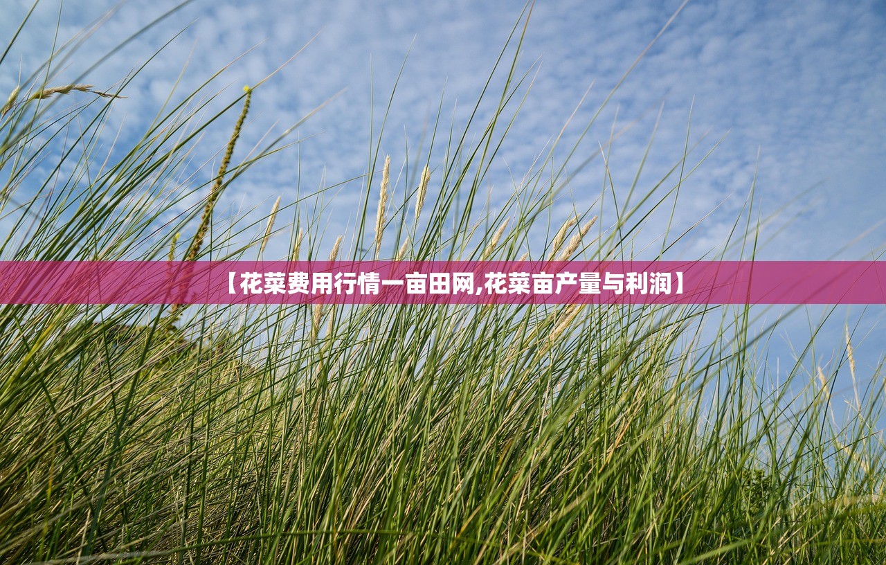 【花菜费用行情一亩田网,花菜亩产量与利润】