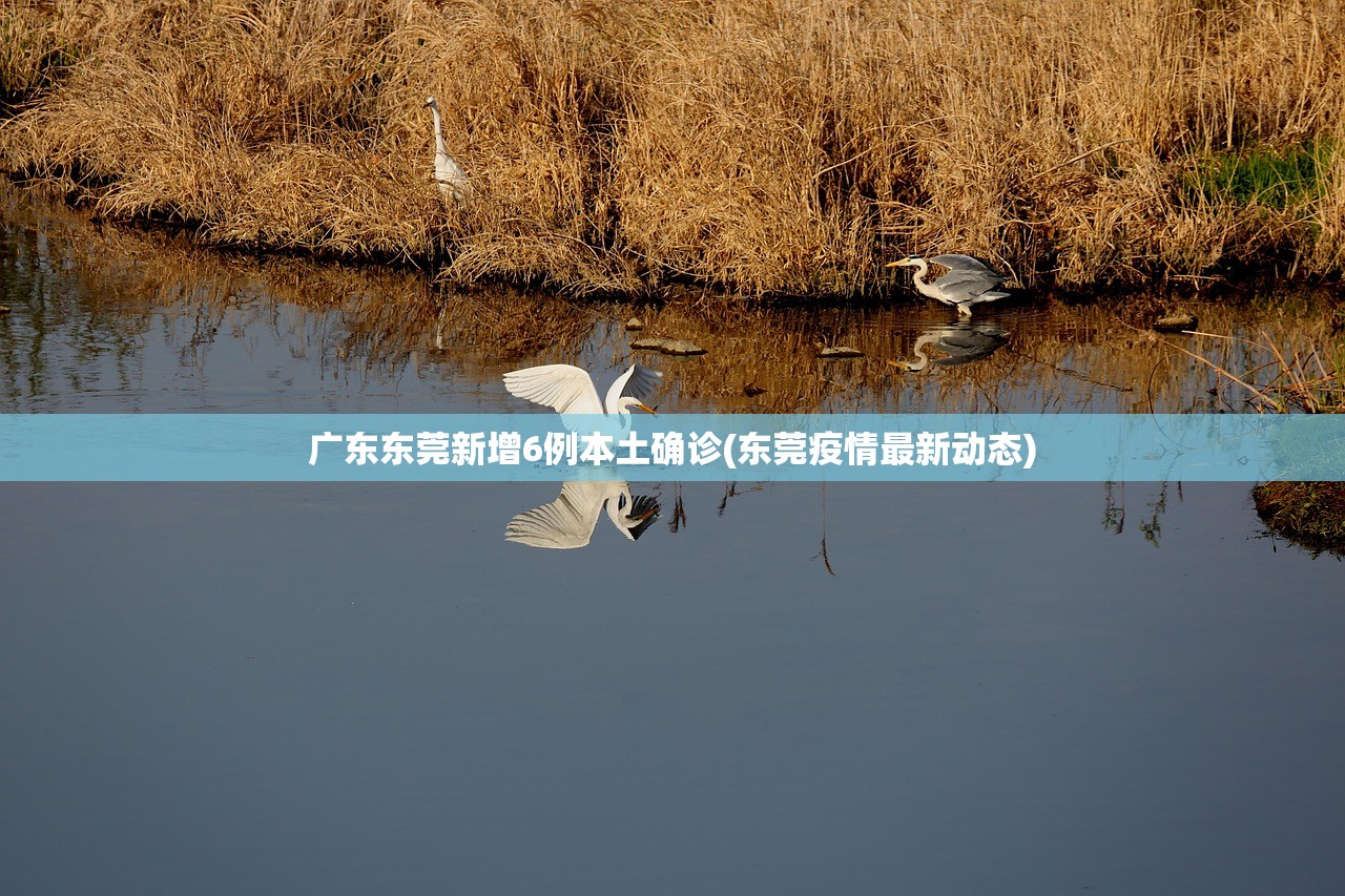 广东东莞新增6例本土确诊(东莞疫情最新动态)