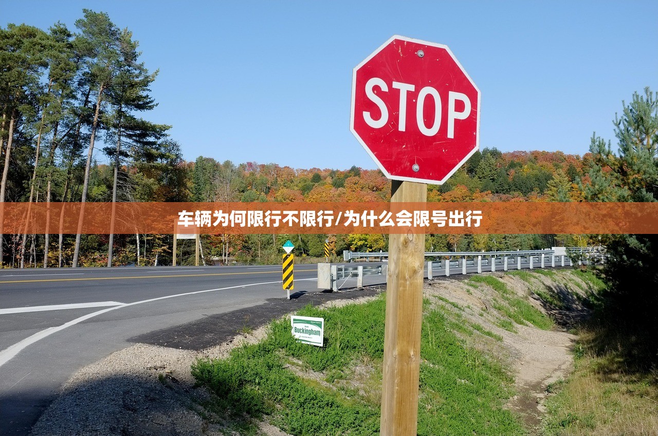 车辆为何限行不限行/为什么会限号出行