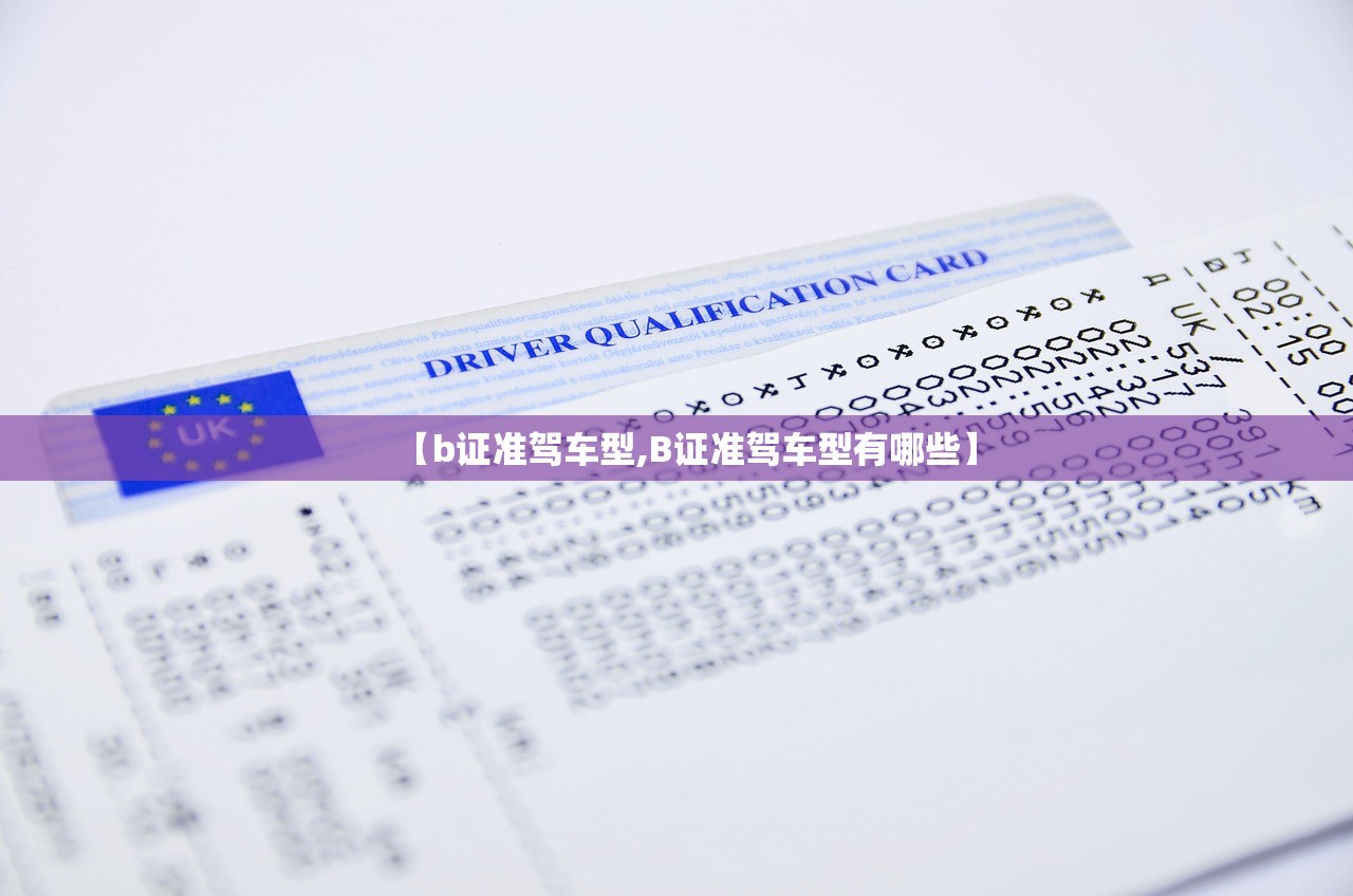 【b证准驾车型,B证准驾车型有哪些】