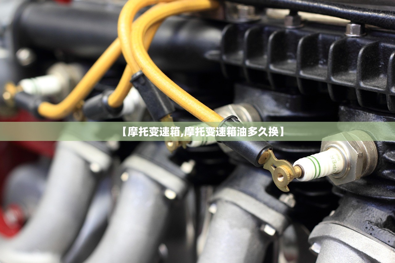 【摩托变速箱,摩托变速箱油多久换】 【摩托变速箱,摩托变速箱油多久换】