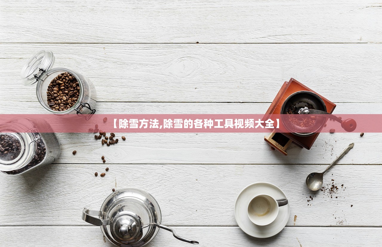 【除雪方法,除雪的各种工具视频大全】