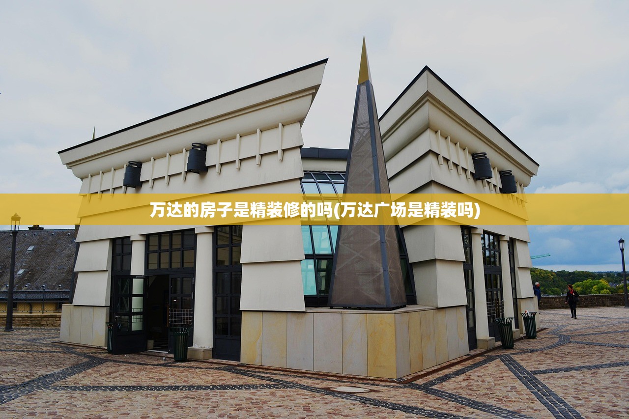 万达的房子是精装修的吗(万达广场是精装吗)