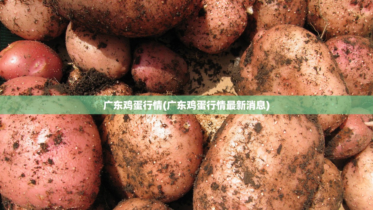 广东鸡蛋行情(广东鸡蛋行情最新消息) 广东鸡蛋行情(广东鸡蛋行情最新消息)