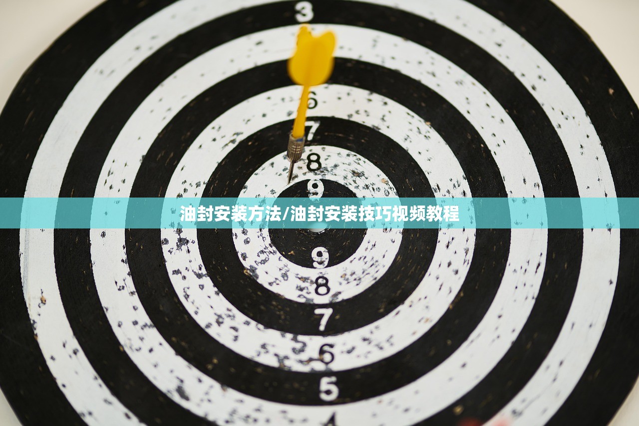 油封安装方法/油封安装技巧视频教程