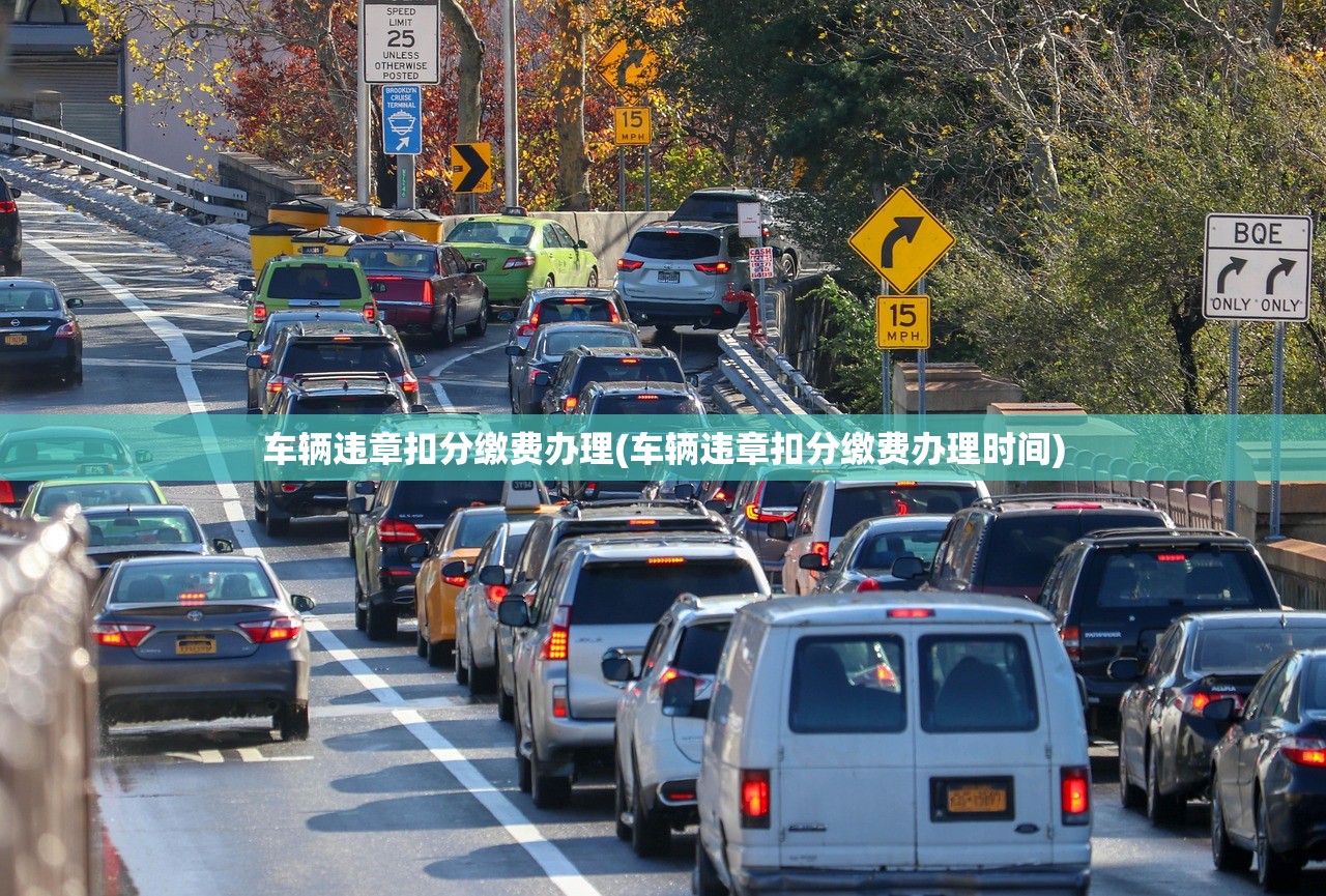 车辆违章扣分缴费办理(车辆违章扣分缴费办理时间)