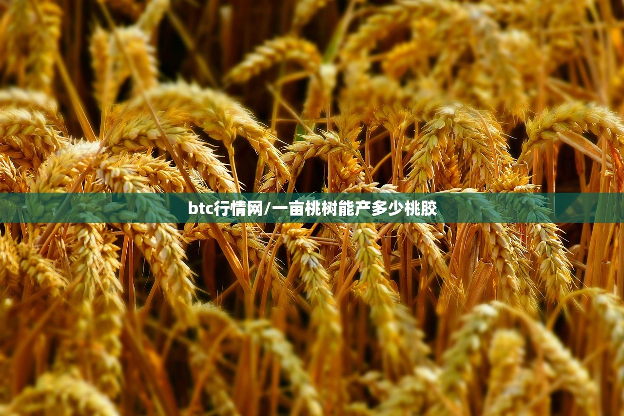 btc行情网/一亩桃树能产多少桃胶