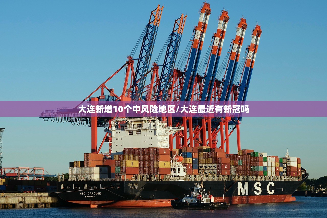 大连新增10个中风险地区/大连最近有新冠吗