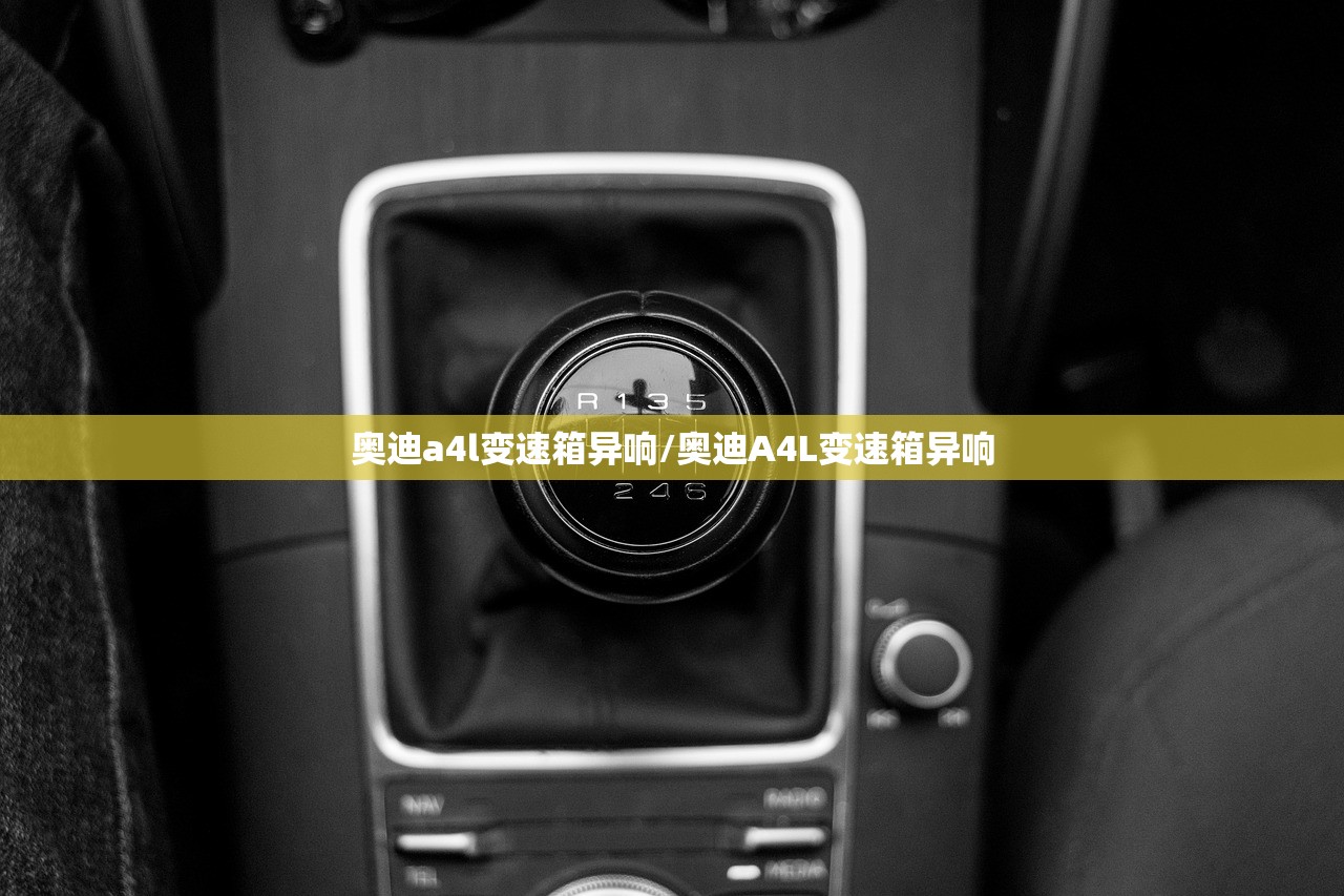 奥迪a4l变速箱异响/奥迪A4L变速箱异响