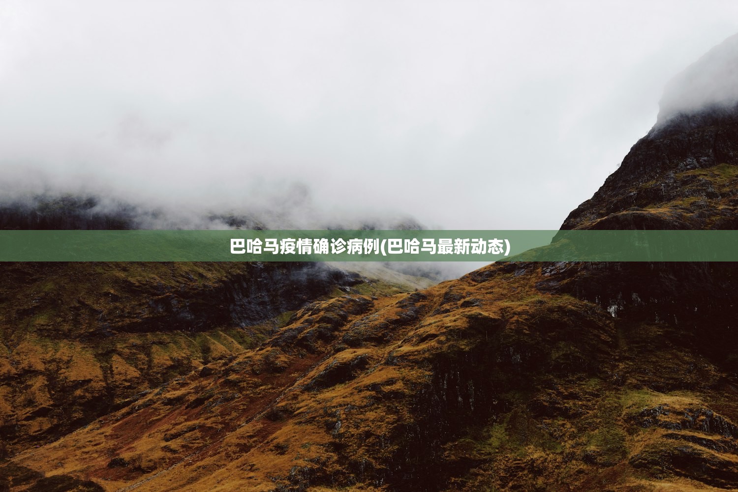 巴哈马疫情确诊病例(巴哈马最新动态)