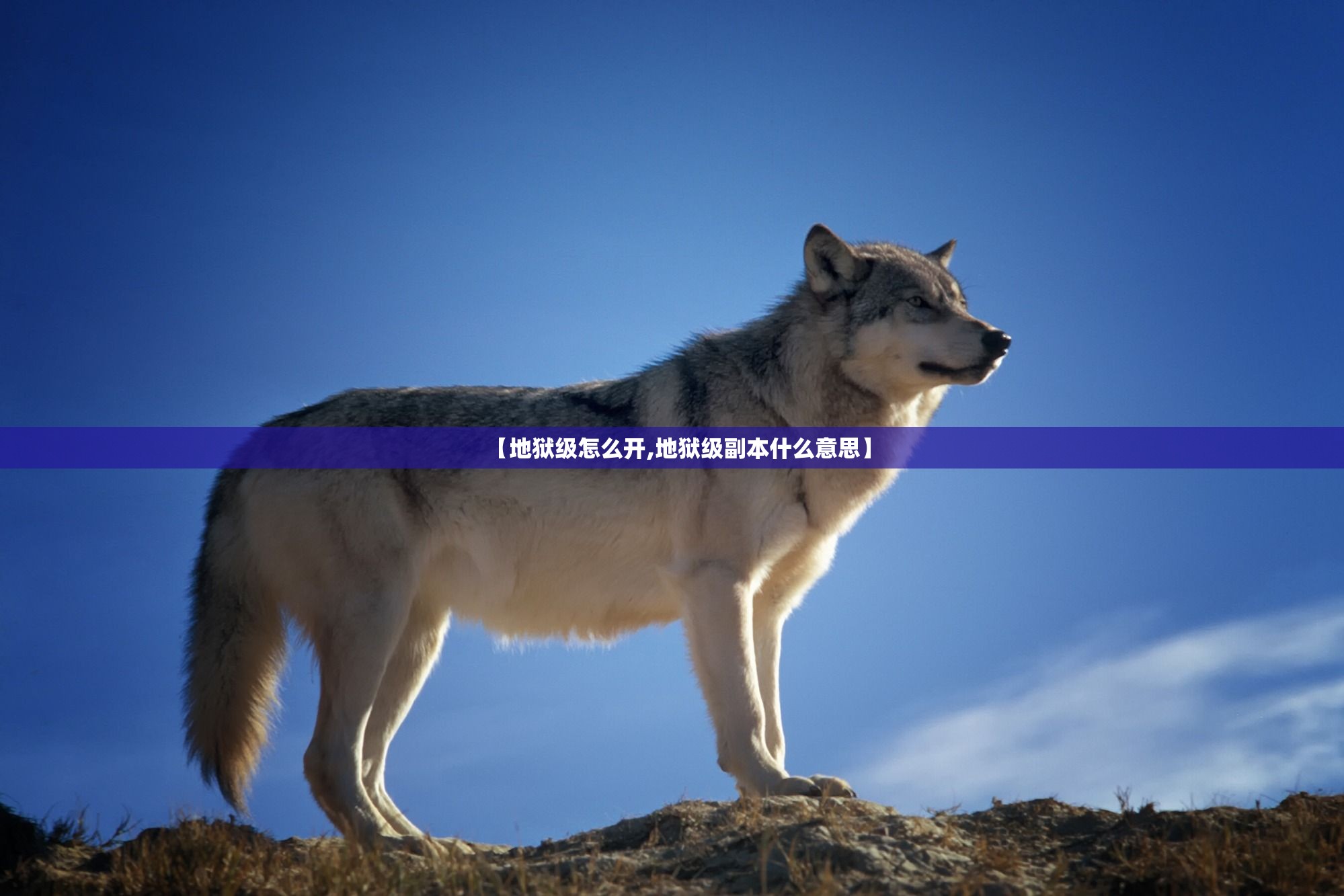 【地狱级怎么开,地狱级副本什么意思】 【地狱级怎么开,地狱级副本什么意思】