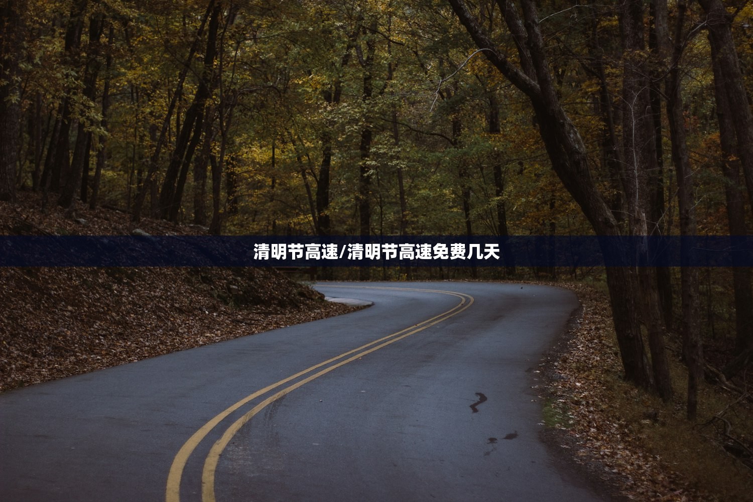 清明节高速/清明节高速免费几天 清明节高速/清明节高速免费几天