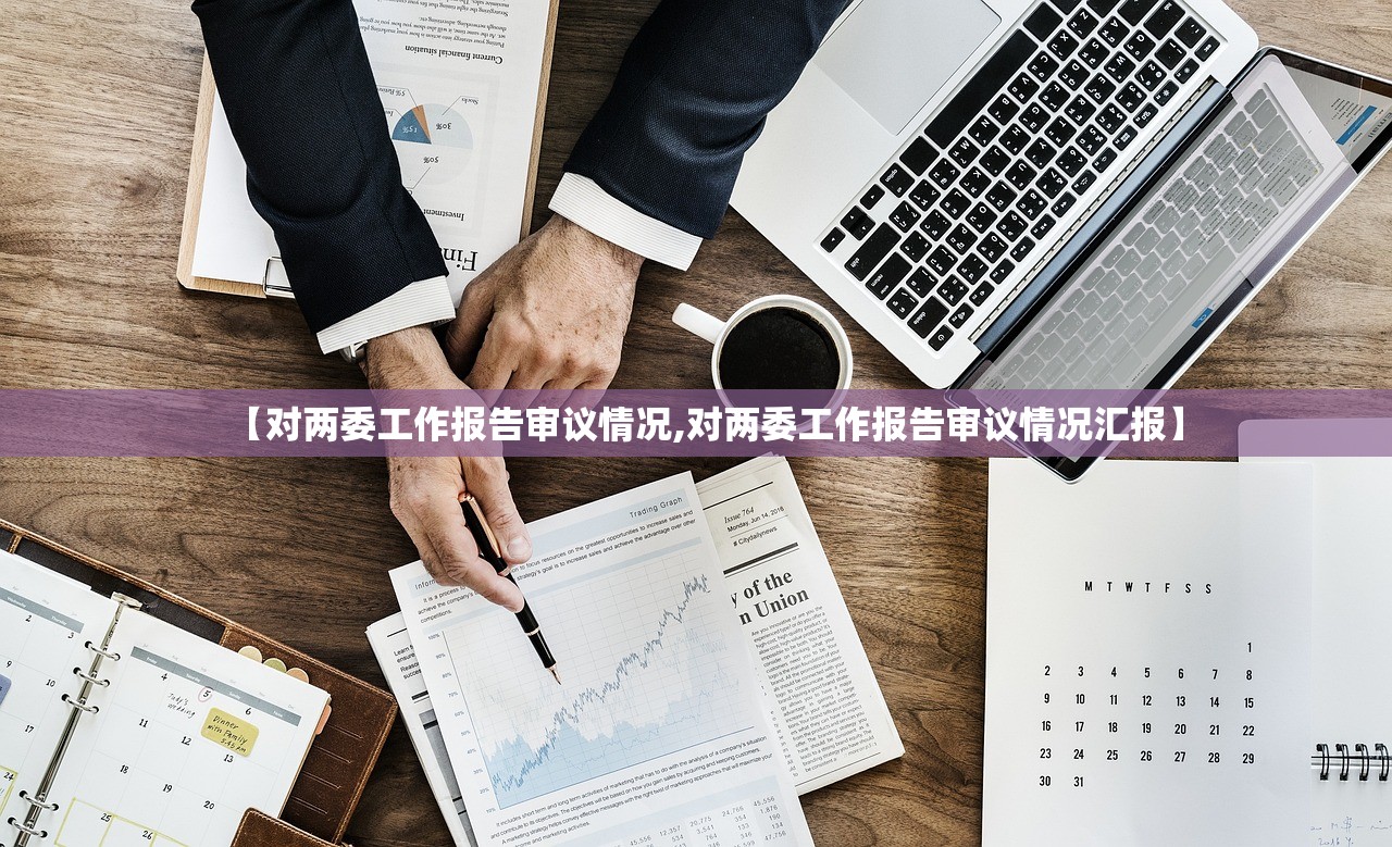 【对两委工作报告审议情况,对两委工作报告审议情况汇报】