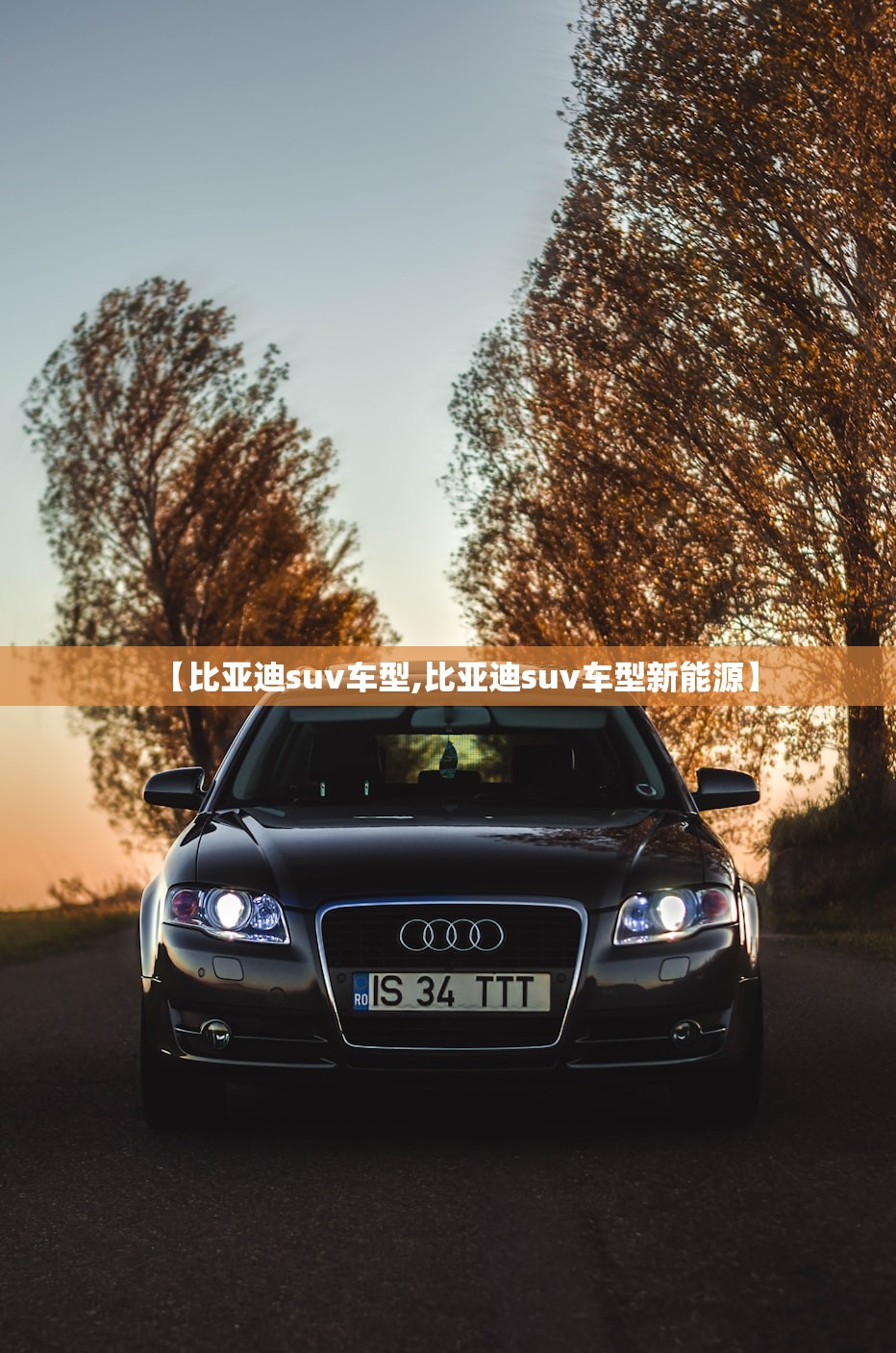 【比亚迪suv车型,比亚迪suv车型新能源】