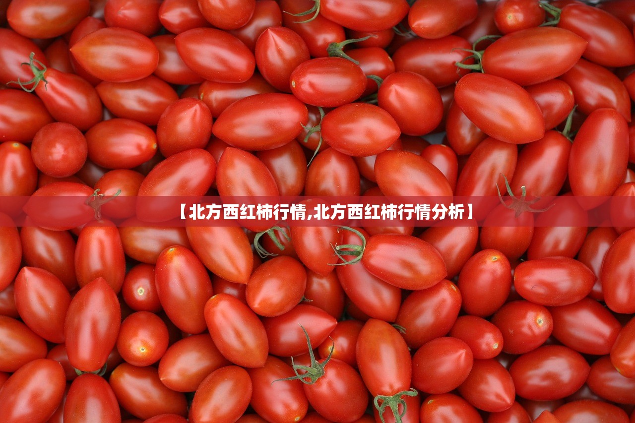【北方西红柿行情,北方西红柿行情分析】