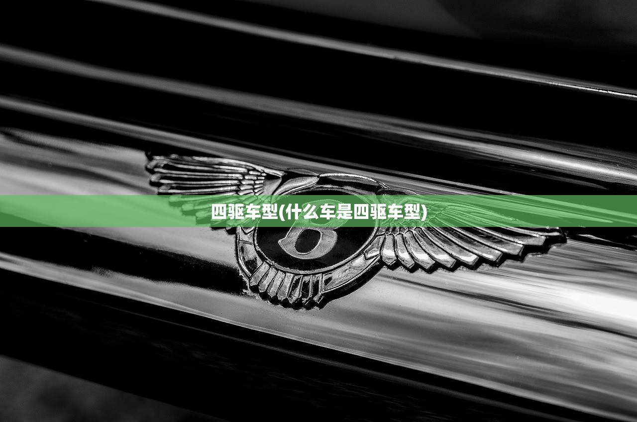 四驱车型(什么车是四驱车型)