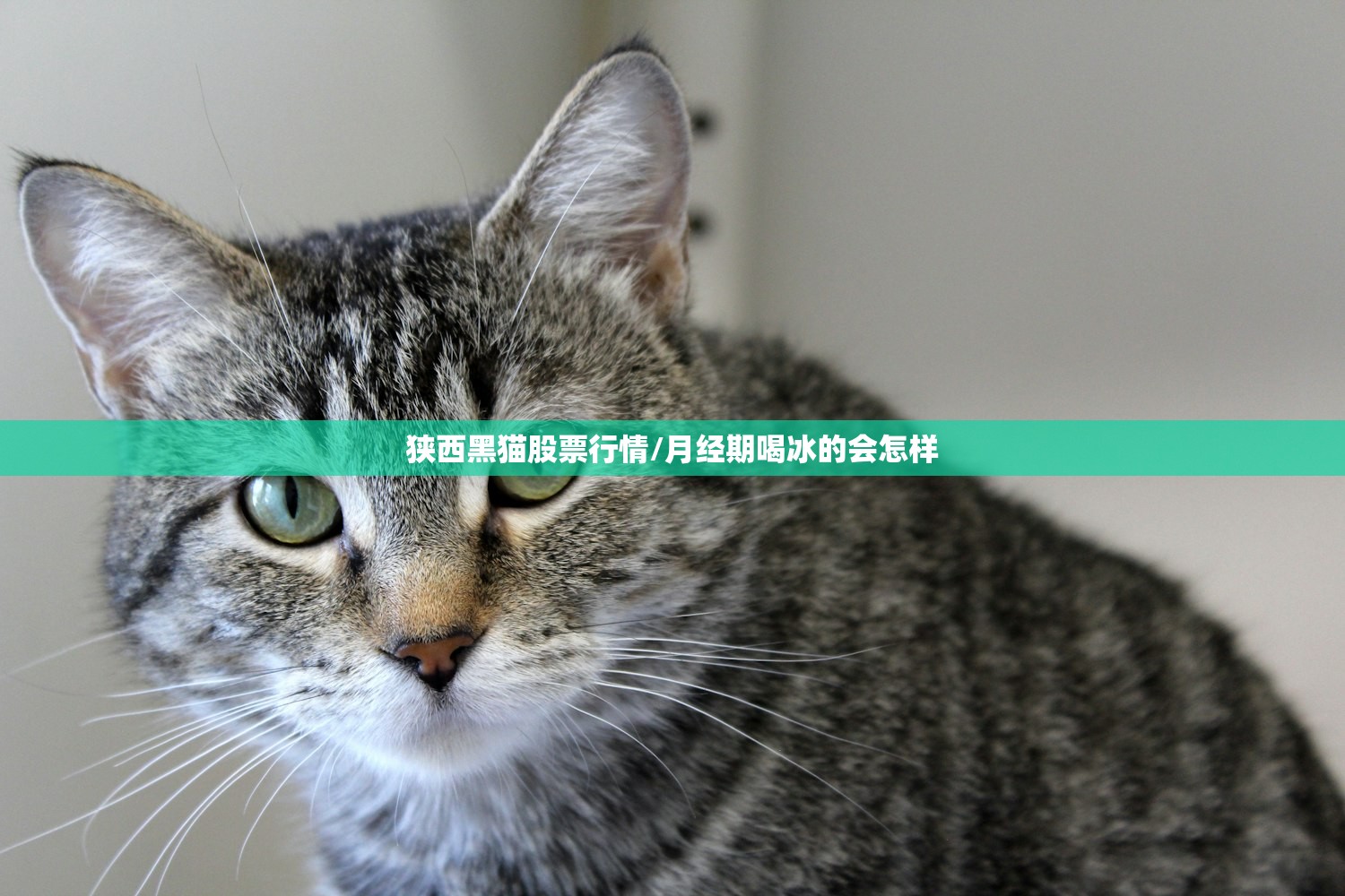 狭西黑猫股票行情/月经期喝冰的会怎样 狭西黑猫股票行情/月经期喝冰的会怎样